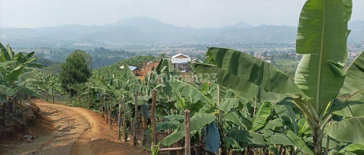 Tanah Murah Di Puncak Kavling Estetis Harga Ekonomis 1