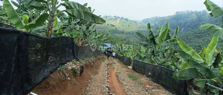 Tanah Murah Di Puncak Investasi Memukau Harga Terjangkau 1