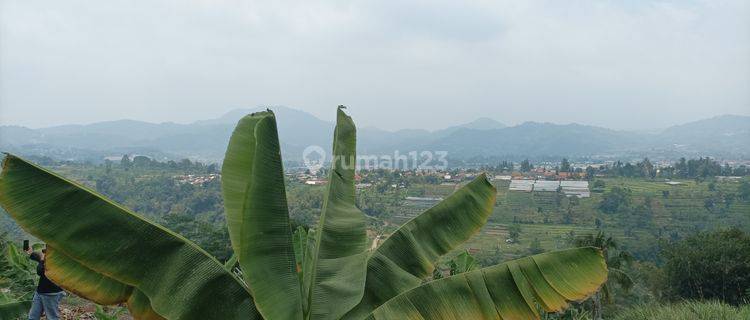 Tanah Murah Di Puncak Lokasi Strategis Harga Ekonomis 1