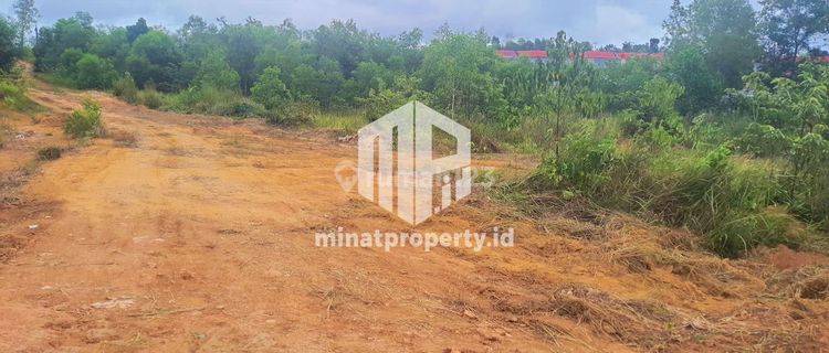 Mp090  Tanah 3 Hektare Lokasi Batu 9 Tanjungpinang 1