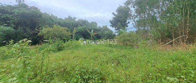 Tanah Kavling Area Cileungsi, Dekat dengan Taman Buah Mekar Sari, dan Tol Jatikarya, Legalitas SHM 1