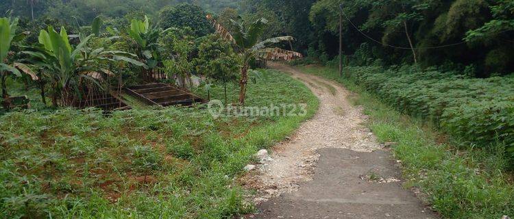 Tanah di Ciampea, Bogor Dekat Klinik Amanah Cibanteng SHM Pasti 1