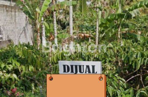 DIJUAL TANAH KEBUN PRODUKTIF PINGGIR JALAN DESA PAJAHAN PUPUAN TABANAN 1