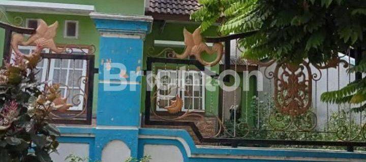 RUMAH SATU LANTAI 3 KAMAR TIDUR DI PASURUAN  1