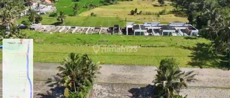 Strategic Land Location Pejeng Gianyar Available For Rent 1