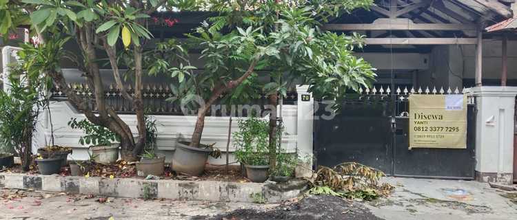 Disewakan Rumah Kos Kosan Di Dukuh Kupang, Surabaya 1
