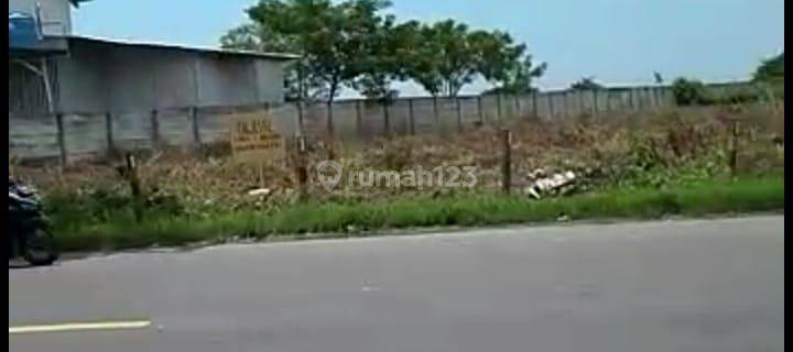 Dijual Tanah di Widang, Tuban, Jawa Timur 1