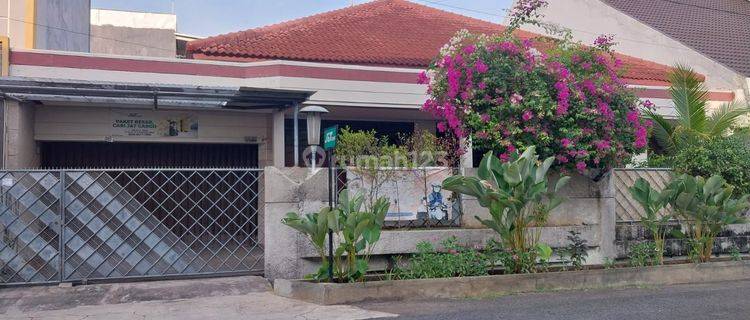 Rumah Di Jalan Mawar Shm Bagus 1