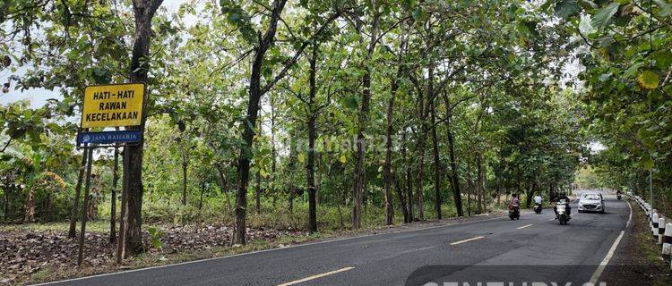 Dijual Cepet Saja Tanah 500 M Di Wonosari Mangku Jalan Besar 1