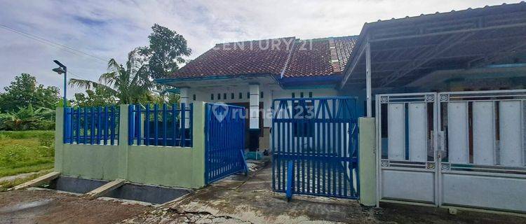 Rumah LB 80 M2 Strategis Di Area Kota Wonosari 280 Juta Nego 1