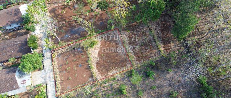 Tanah Luas 500 M2 Di Piyaman Gunungkidul Cocok Untuk Cluster 1