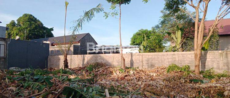 SMALL VILLA ENVIRONMENTAL LAND IN SANUR 1