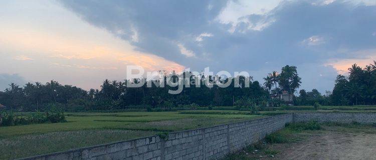 9 ARE FLAT LAND PLOT READY TO BUILD IN SAYAN UBUD 1