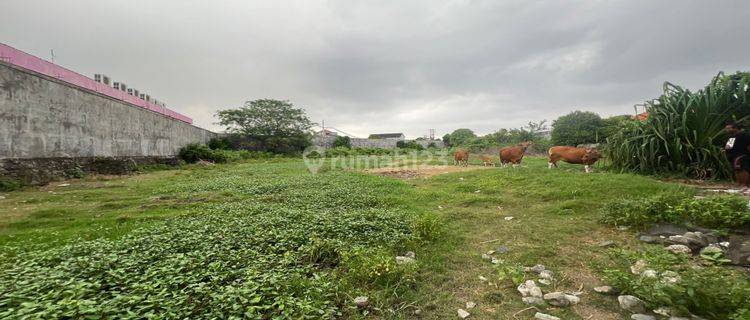 50 Are Flat Land Ready to Build in Sesetan Commercial Area 1