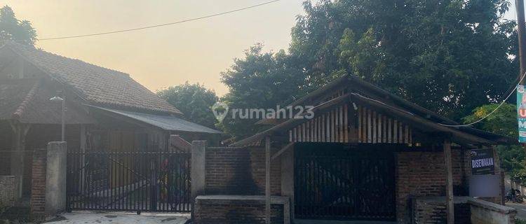 Hunian Plus Lahan Jl Ketumbar Kavling Cilegon 1