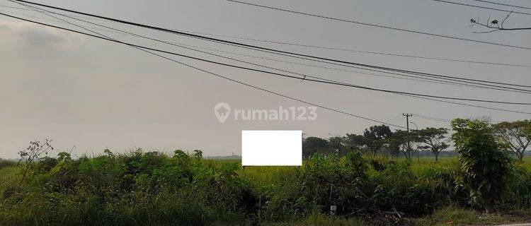 Tanah Tasikardi Dekat Banten Lama Jalan Utama 1