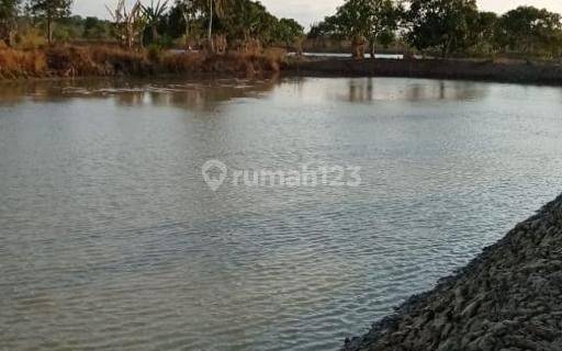 Tanah Empang Labuan Panimbang Harga Miring 1