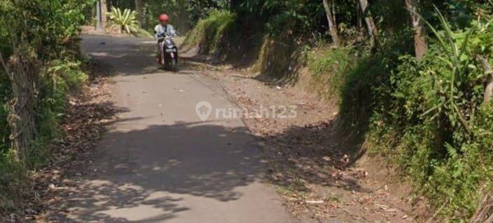 Tanah Cikeusal Harga Miring Cocok Untuk Kebun 1