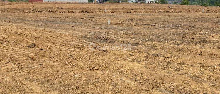 Dijual Tanah Kebun 9 Sertifikat Ready Lahan Siap Bangun 1