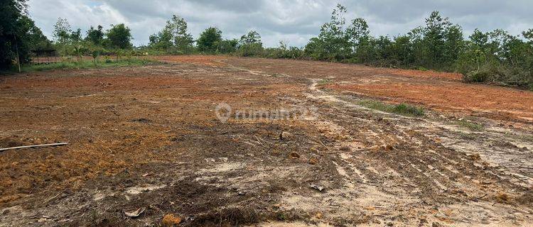 Dijual Tanah Murah Mendalo Lokasi Belakang Kampus Uin 1