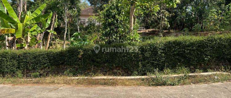 Dijual Tanah Area Ramai Lingkungan Lokasi Talang Bakung 1