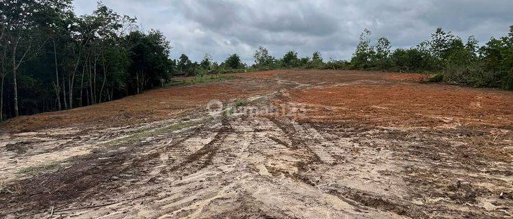 Dijual Tanah Murah Lokasi Mendalo Belakang Kampus Uin 1