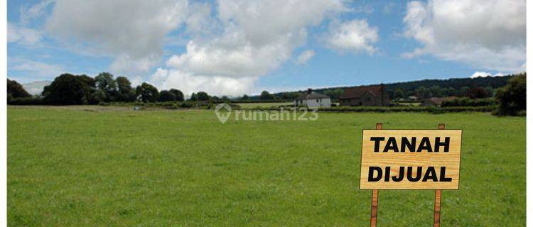 Tanah 2,5Ha di Bojonglopang, Jampang Tengah, Sukabumi Dijual MURAH! 1