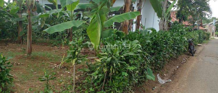 Jual Tanah Kebun SHM 376m2 dekat dari Gerbang Tol Darangdan Purwakarta 1