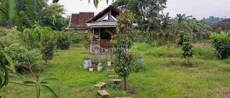 Dijual Tanah Kebun Di Dlagu Mojokerto 1