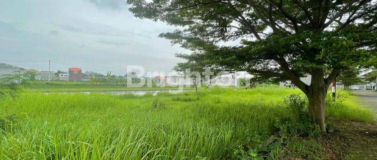 Tanah Kavling Perum Japan Raya Tahap 5 Mojokerto 1