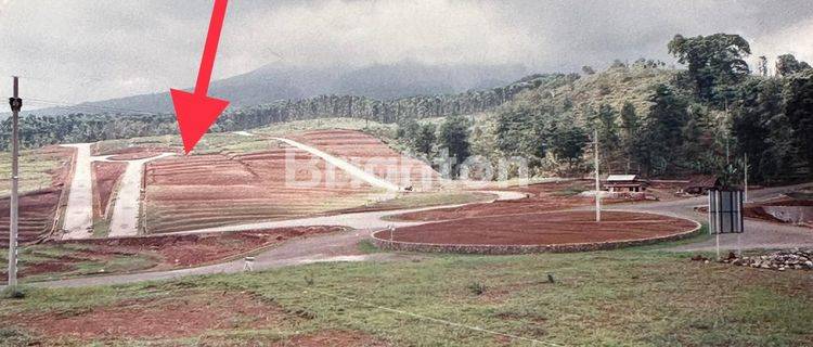 Kavling Villa Hortensia Ledug Prigen Pasuruan 1