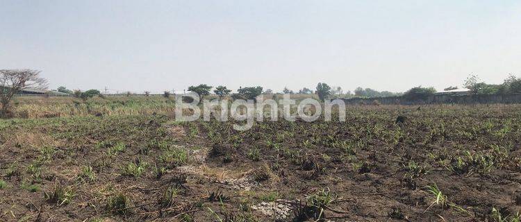 Tanah Jetis Mojokerto Cocok di buat Lahan Pertanian/ Kandang Ayam 1