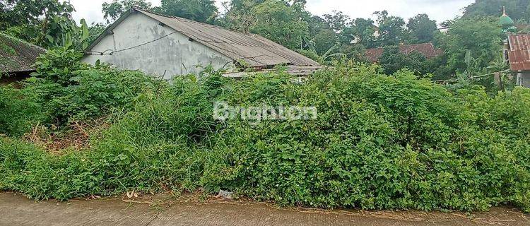 Tanah Pacet Sumber Kembang Dekat dengan RS Sumber Glagah Arah Trawas 1