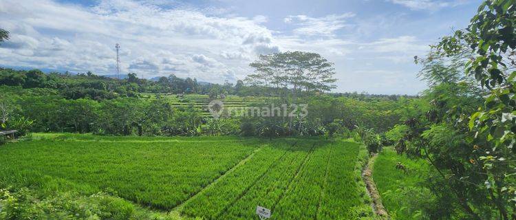 Tanah Indah View Sawah 1