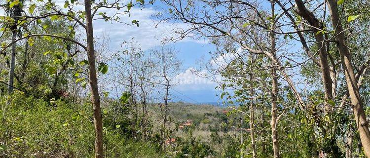 Tanah Kavling View Laut Nusa Penida 1