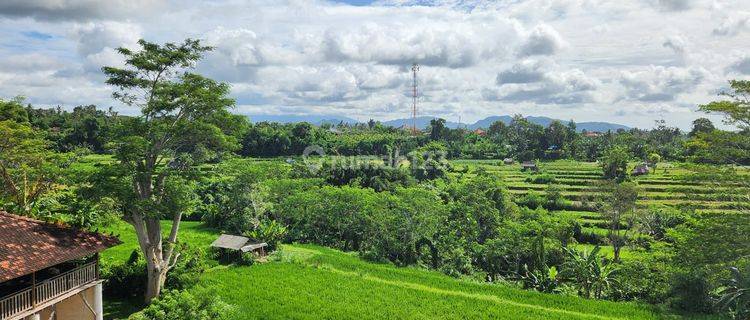 Tanah Indah View Sawah 1