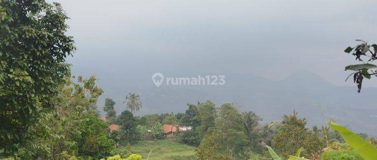 Dijual Tanah Murah Best View Di Sukamakmur  1