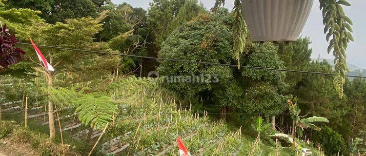 Tanah Cocok Untuk Villa outbond Area Maribaya, Dago Giri 1