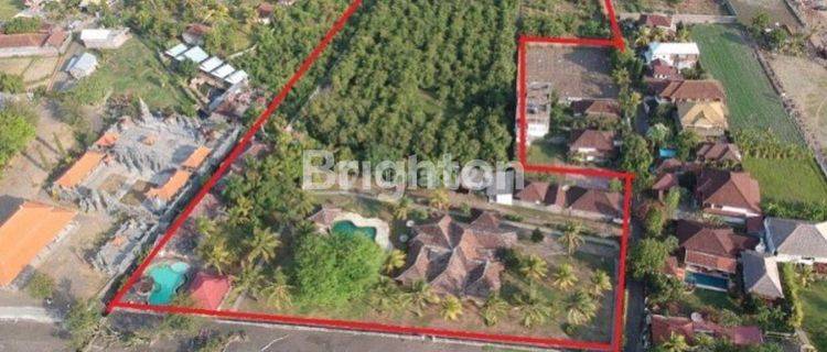 BONUS VILLA LAND - STRATEGIC LOCATION - SINGARAJA AREA BALI 1