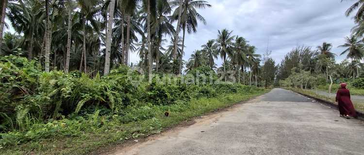 Dijual tanah dekat pantai manggar balikpapan 1