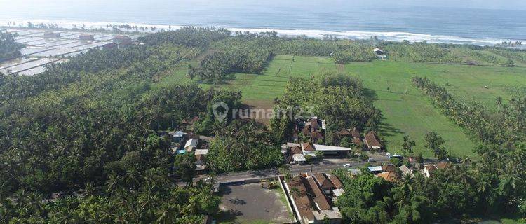 Tanah View Laut di Pekutatan 1