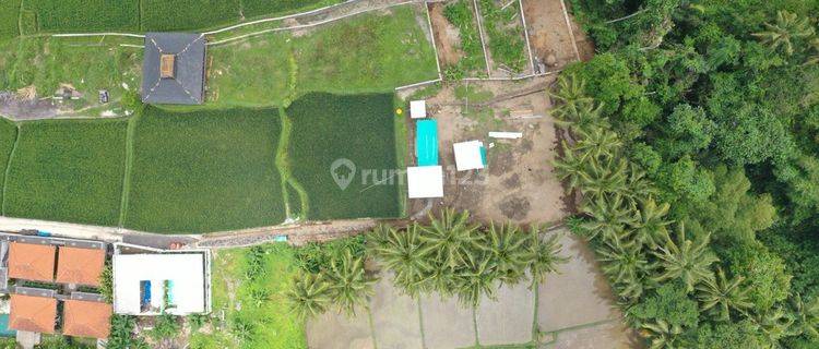  Land in Ubud Petulu 10 Are  1