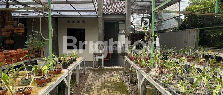 WOW! TANAH BANGUNAN KEBUN ANGGREK KOST PALEBON SEMARANG  1