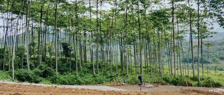 Tanah Dijual Kavling Eksklusif Bogor Fasilitas Premium  1