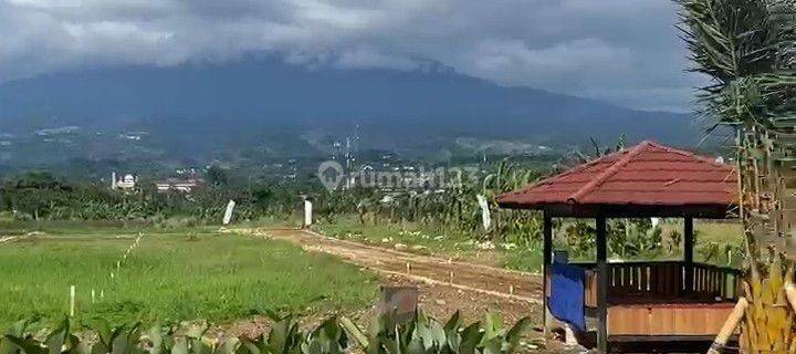 JUAL TANAH SHM LOKASI POTENSIAL FASILITAS PREMIUM  1