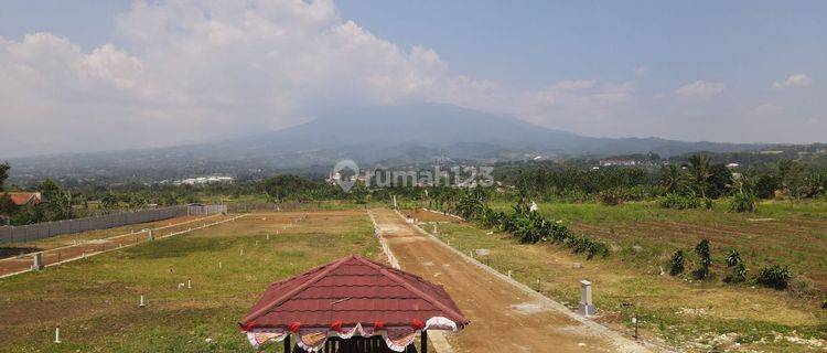 Promo Tanah Murah Shm View Gunung Pangrango  1