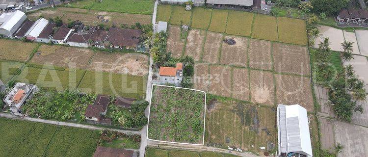 900m2 Stunning Land with Rice Field View In near Prime area Ubud 1