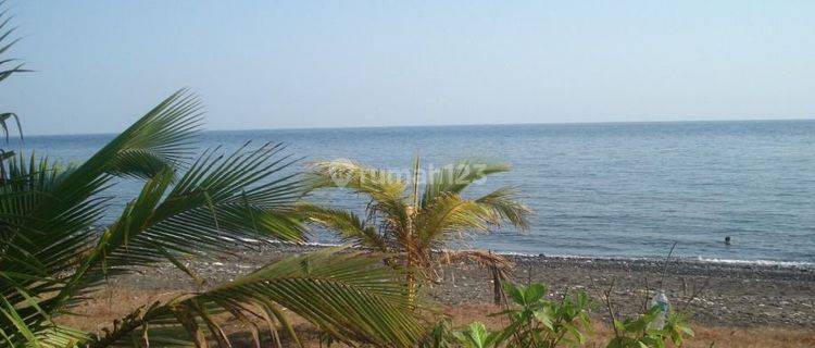 LAND FOR SALE 19.8 Ha NEAR TENEKULE BEACH BULELENG BALI 1