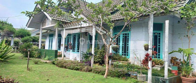 Di Jual Villa Palem Garden di Puncak Jawa Barat 1