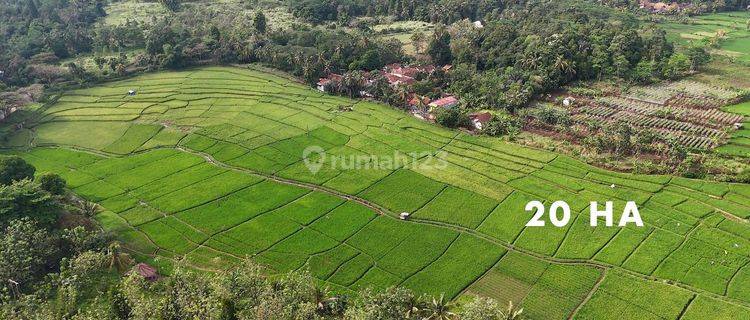 Di Jual Tanah, harga di bawah NJOP, Luas 1 Ha - 27 Ha, dekat dengan Terminal Pasirhayam di Cibinong Hilir - Cianjur 1